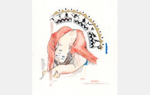 Nouvelles des Kangourous depuis la rentrée