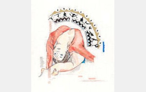 FORMATION DE NOS JUGES